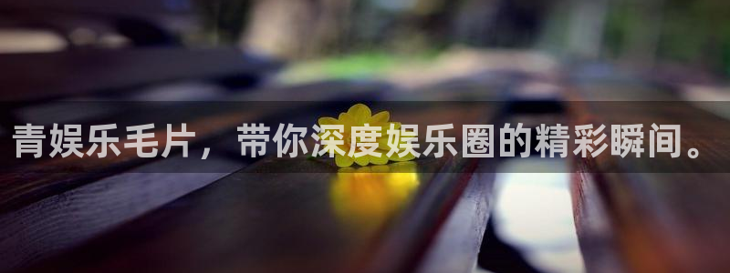 运达娱乐app 是什么