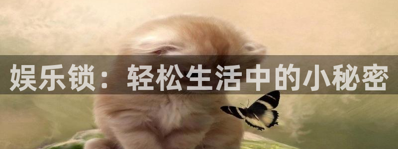 运达娱乐app官网