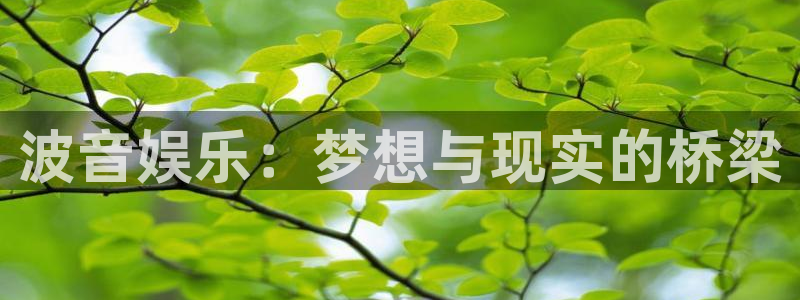 运达娱乐.com