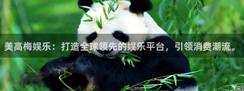 运达娱乐