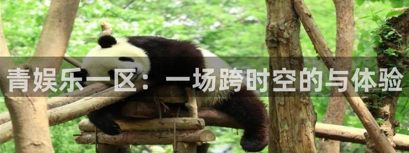 运达娱乐电玩网官网入口