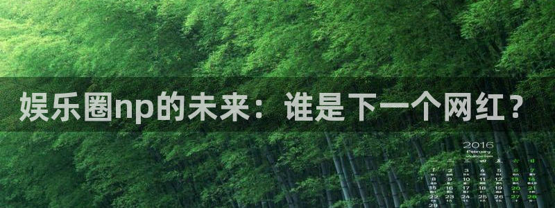 运达娱乐平台官网入口下载
