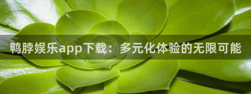 运达娱乐是赌博吗