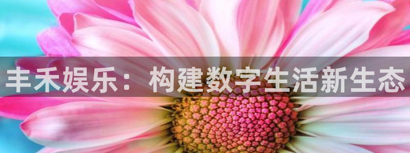 运达娱乐游戏官网入口