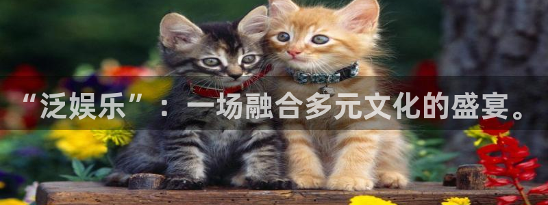 壹号大舞台娱乐app下载安装