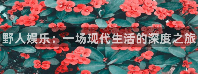 壹号下载官网入口