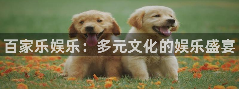 运达娱乐赏金女王：百家乐娱乐：多元文化的娱乐盛宴