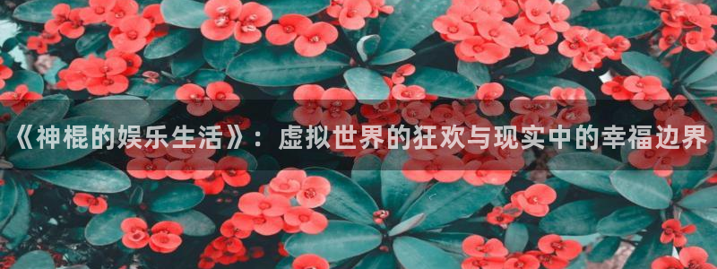 壹号app下载苹果：《神棍的娱乐生活》：虚拟世界的狂欢与现实中的幸福边界