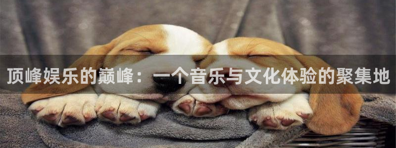 运达娱乐官网：顶峰娱乐的巅峰：一个音乐与文化体验的聚集地