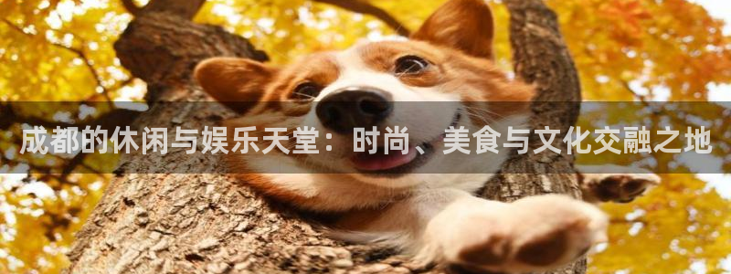 运达娱乐ccmpc麻将胡了：成都的休闲与娱乐天堂：时尚、美食与文化交融之地