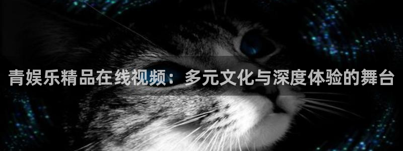 运达娱乐是什么平台：青娱乐精品在线视频：多元文化与深度体验的舞台