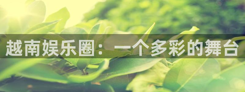 运达娱乐平台官网版下载：越南娱乐圈：一个多彩的舞台