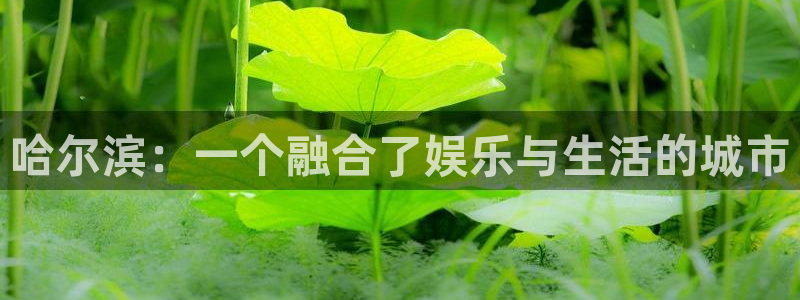 运达娱乐充值怎么退款：哈尔滨：一个融合了娱乐与生活的城市
