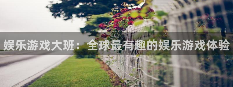 壹号app官网：娱乐游戏大班：全球最有趣的娱乐游戏体验
