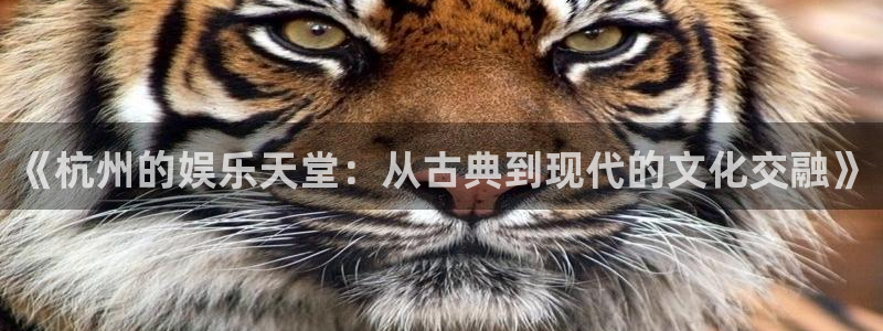 运达娱乐注册入口：《杭州的娱乐天堂：从古典到现代的文化交融》