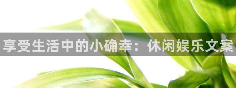 运达娱乐平台官网版下载：享受生活中的小确幸：休闲娱乐文案
