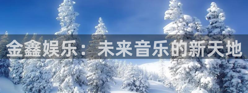 运达娱乐电子游戏网页版：金鑫娱乐：未来音乐的新天地