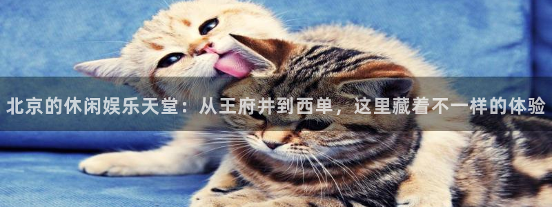 运达娱乐-ng大舞台,有梦你就来：北京的休闲娱乐天堂：从王府井到西单，这里藏着不一样的体验
